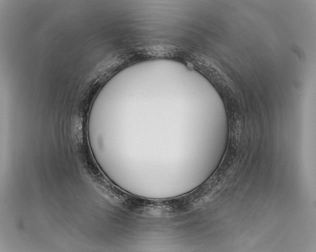 X0000110900696200907091416