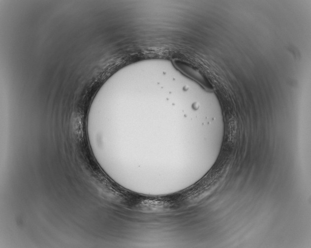 X0000110900699200907091416