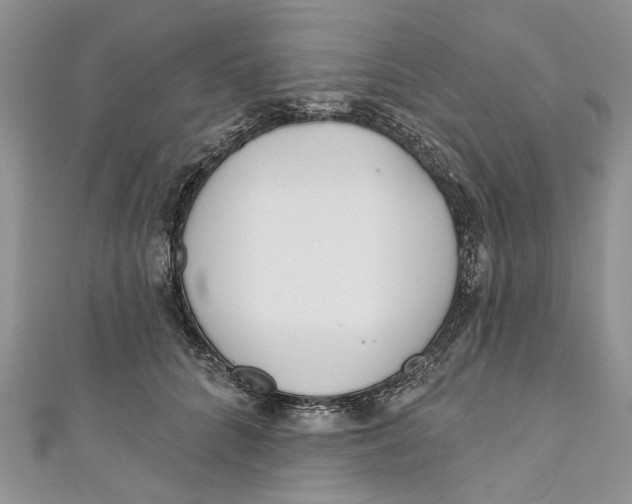 X0000110900704200907091416