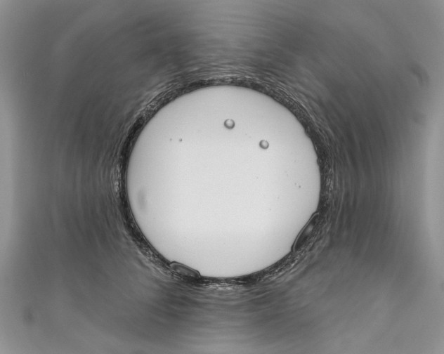 X0000110900708200907091416