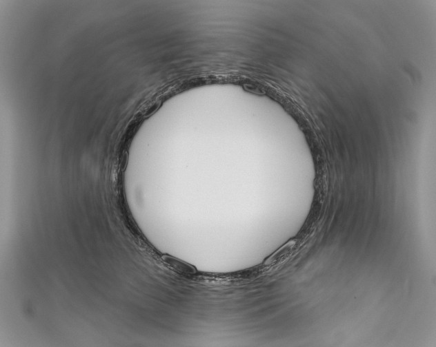 X0000110900709200907091416