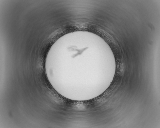 X0000110900710200907091416