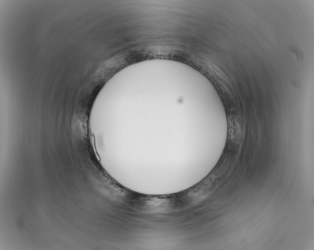 X0000110900718200907091416