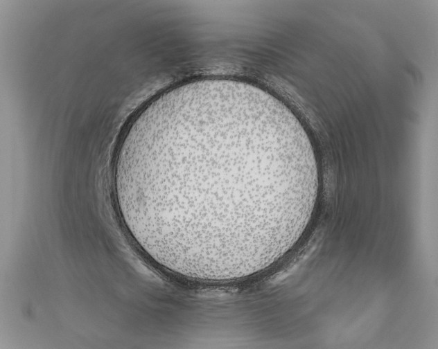 X0000110900721200907091415