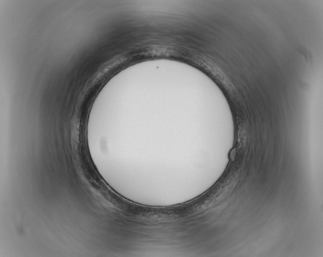 X0000110900722200907091415