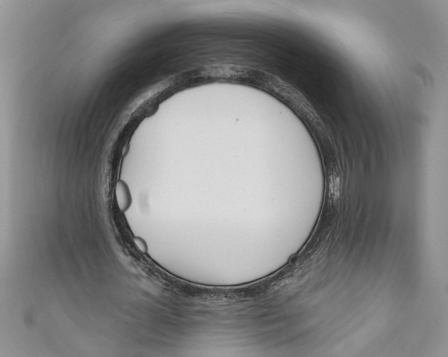 X0000110900724200907091415