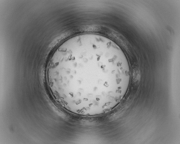 X0000110900725200907091415