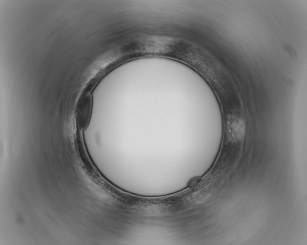 X0000110900726200907091415