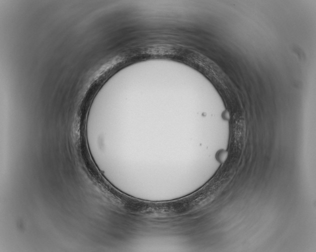 X0000110900727200907091415