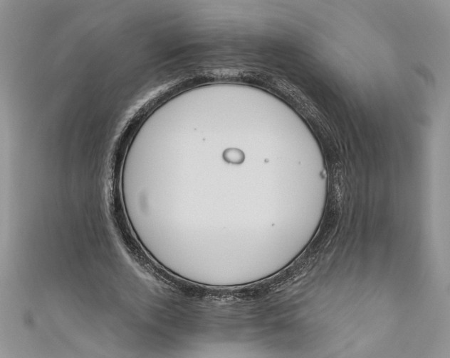 X0000110900728200907091415