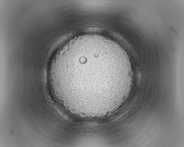 X0000110900729200907091415