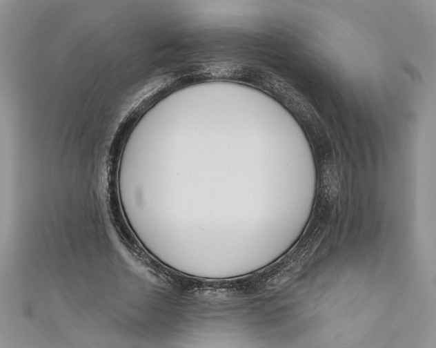 X0000110900730200907091415