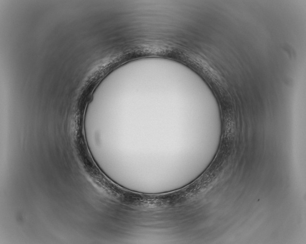 X0000110900736200907091415