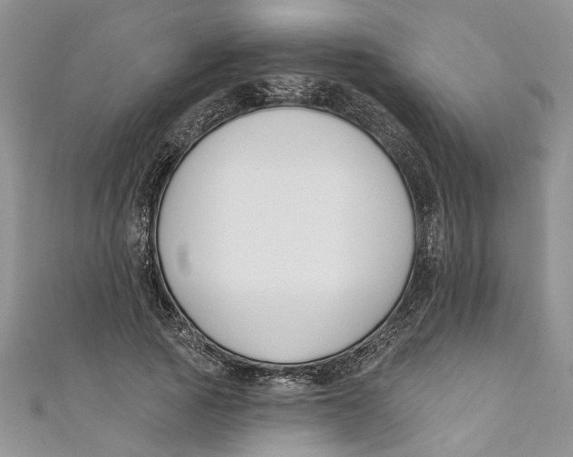 X0000110900737200907091415