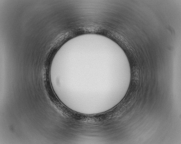 X0000110900738200907091415