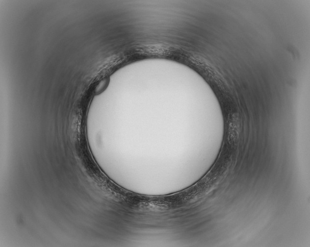 X0000110900739200907091415