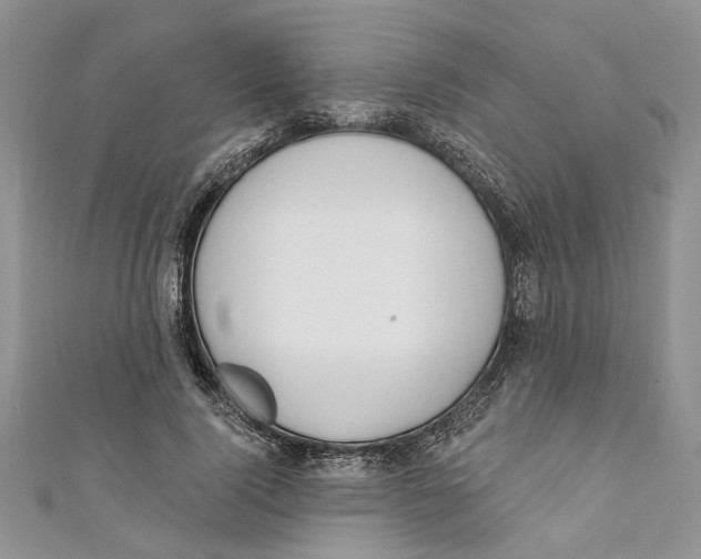 X0000110900740200907091415