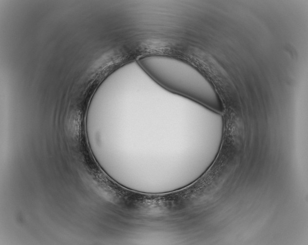 X0000110900744200907091415