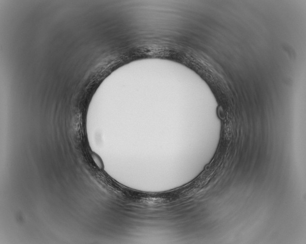 X0000110900748200907091415