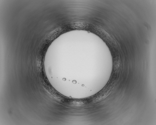 X0000110900749200907091415