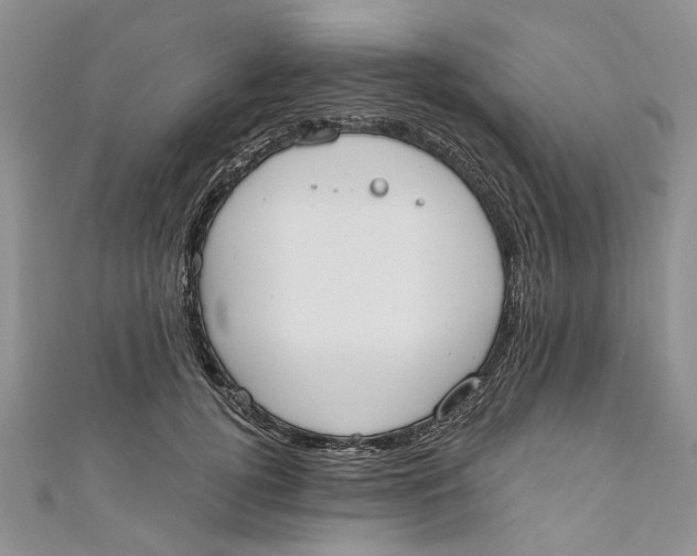 X0000110900752200907091415