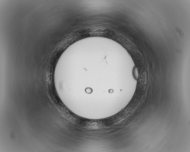 X0000110900755200907091415