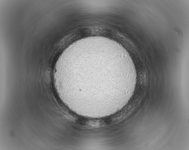 X0000110900757200907091415