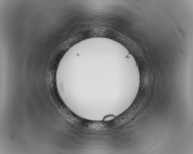 X0000110900759200907091415