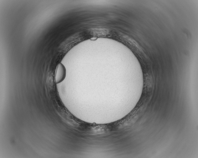 X0000110900761200907091415