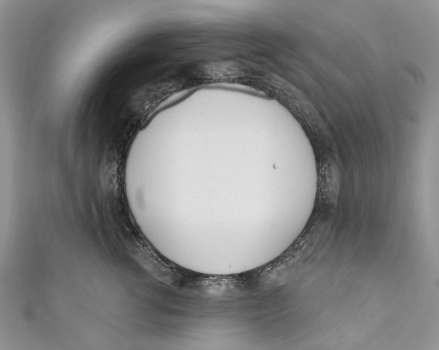 X0000110900762200907091416