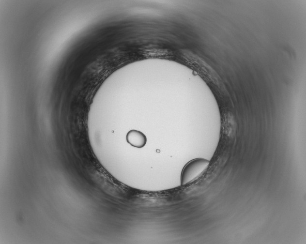 X0000110900763200907091416