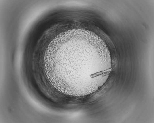 X0000110900765200907091416