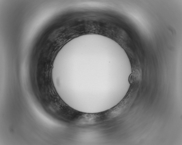 X0000110900766200907091416