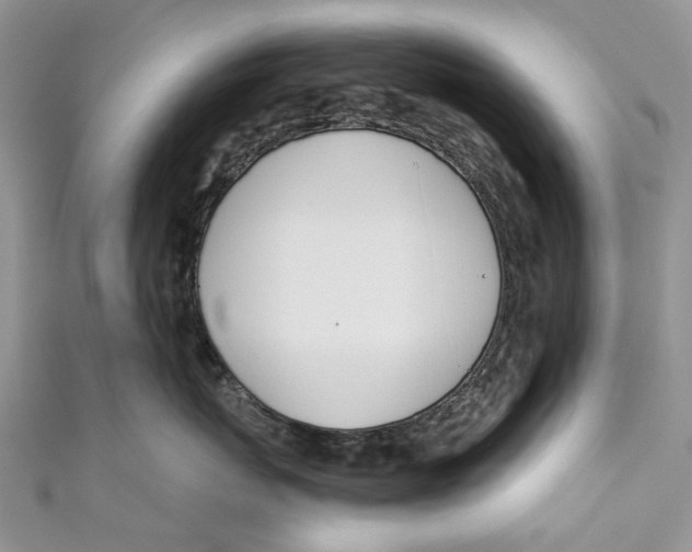 X0000110900767200907091416