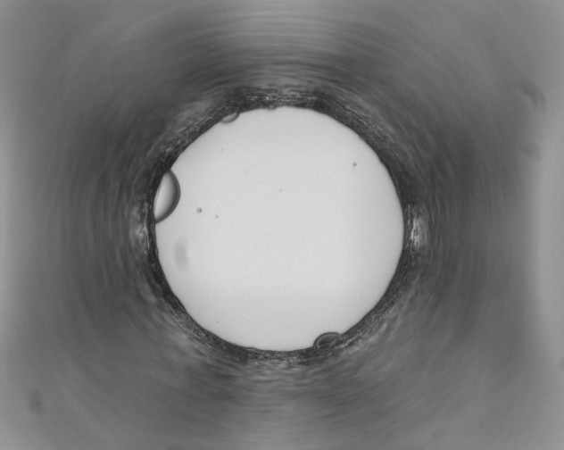 X0000110900771200907091415