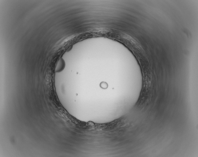 X0000110900773200907091415