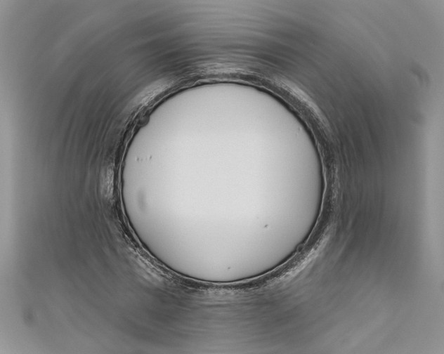 X0000110900777200907091415