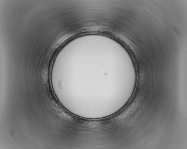 X0000110900778200907091415