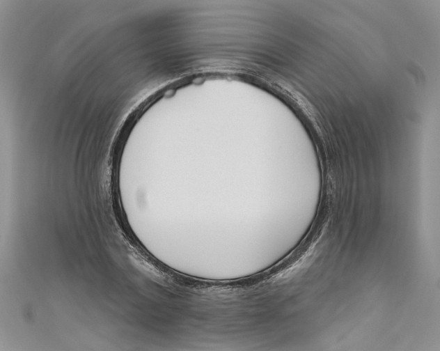 X0000110900779200907091415