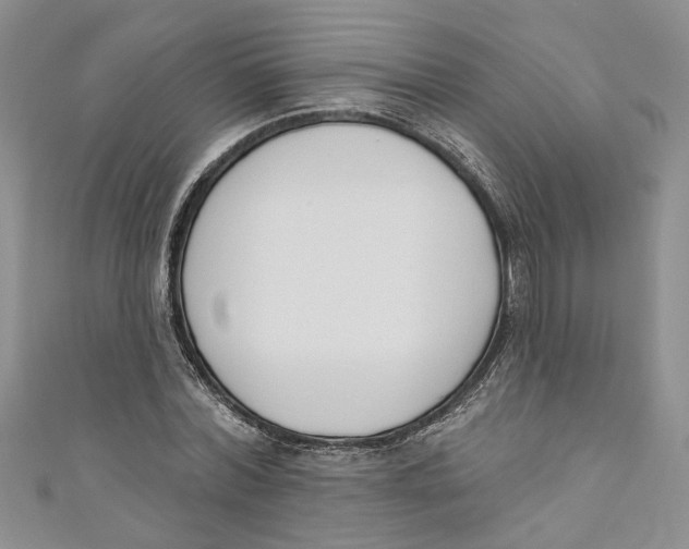 X0000110900780200907091415