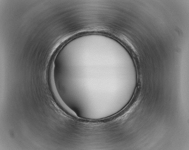 X0000110900781200907091415