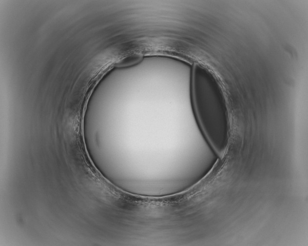 X0000110900785200907091415