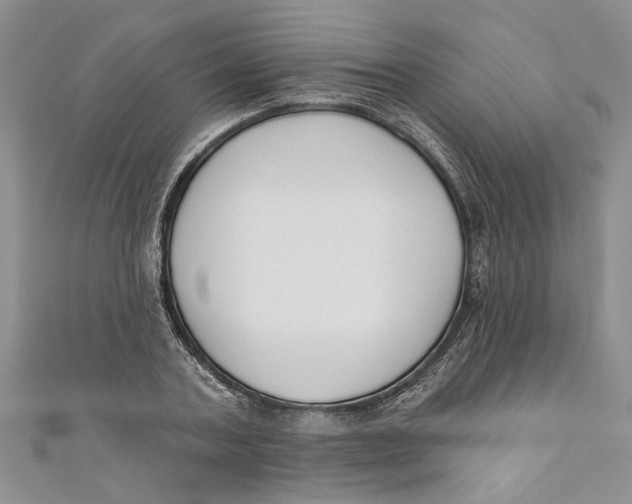 X0000110900787200907091415