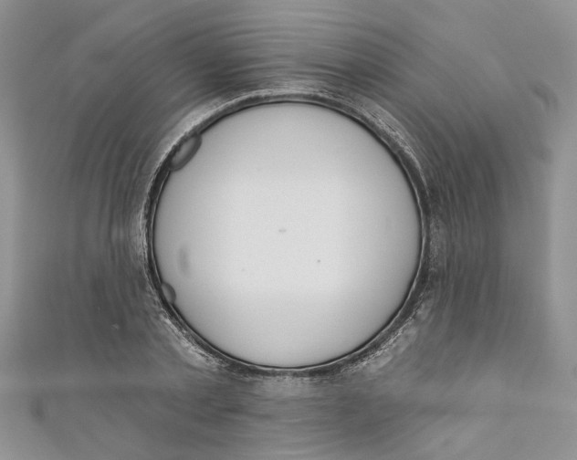 X0000110900789200907091415