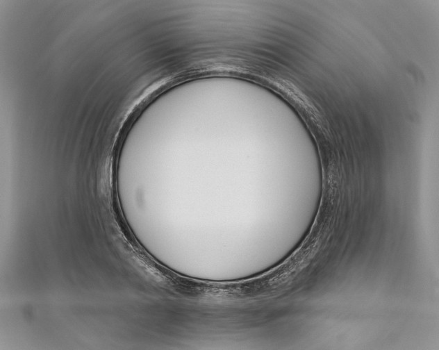 X0000110900790200907091415