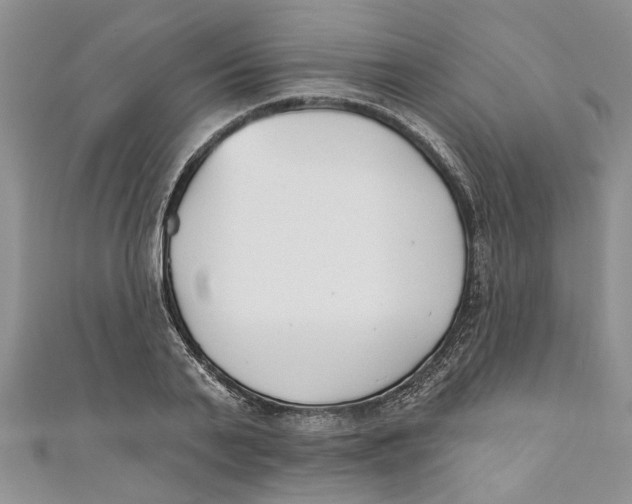 X0000110900791200907091415