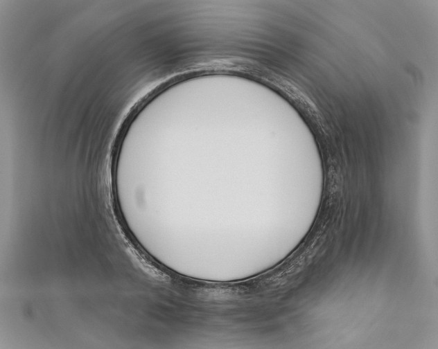 X0000110900792200907091415