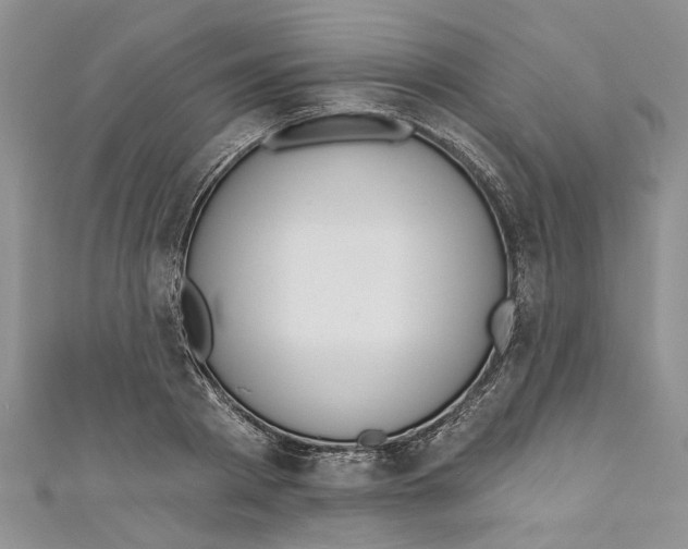 X0000110900793200907091415