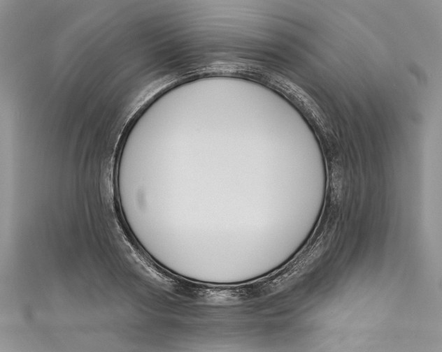 X0000110900794200907091415