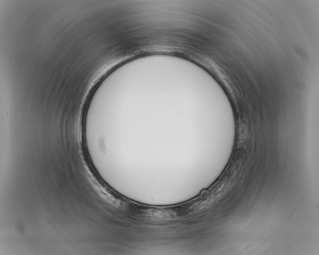 X0000110900795200907091415